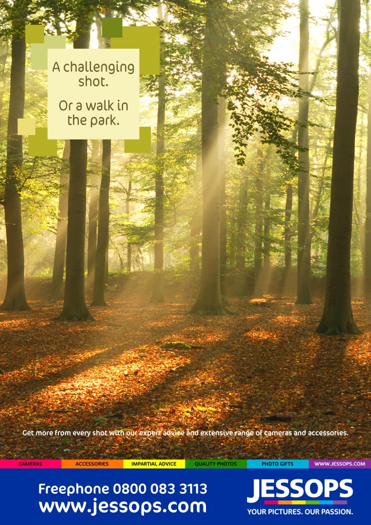 illustration, graphic design, freelance, vector, digital, mcewan creative, mcewancreative