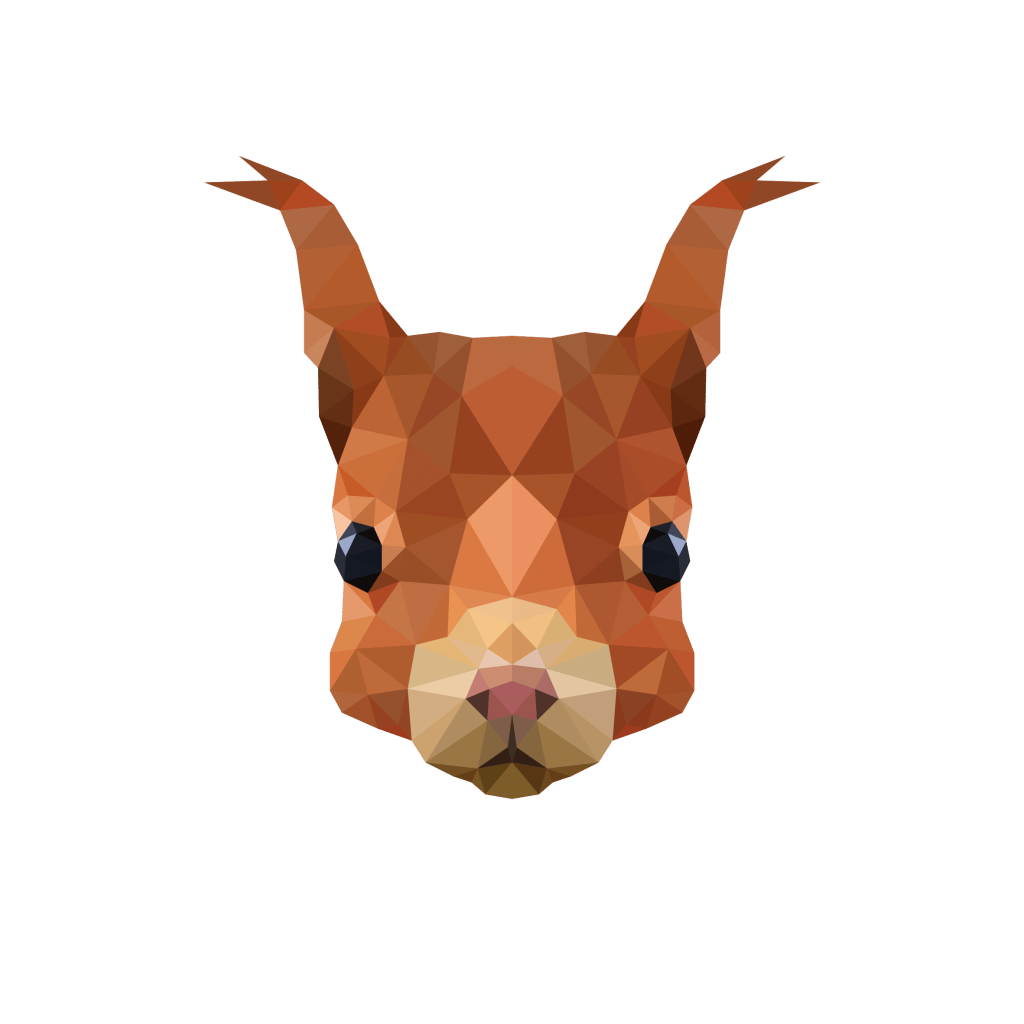 digital illustration - Adobe illustrator