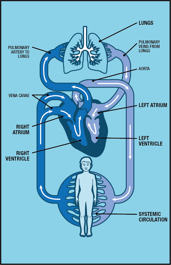 technical illustration
