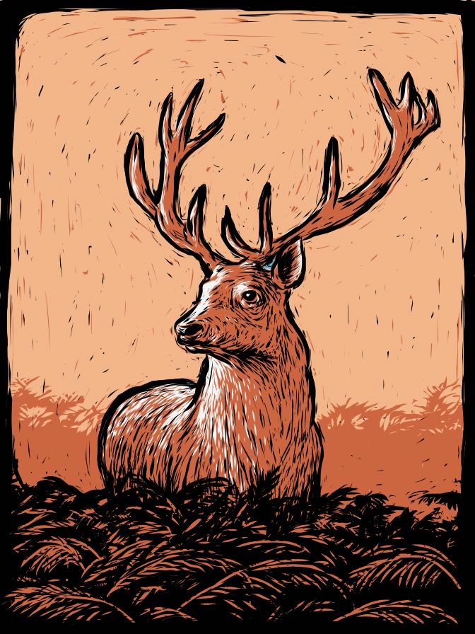 digital illustration