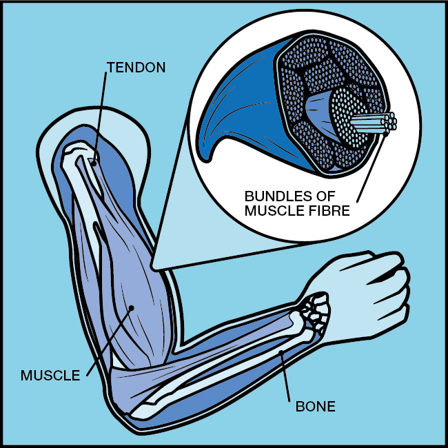 technical illustration